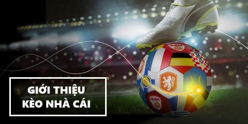 Vai trò của giới thiệu trong việc nắm bắt kèo nhà cái